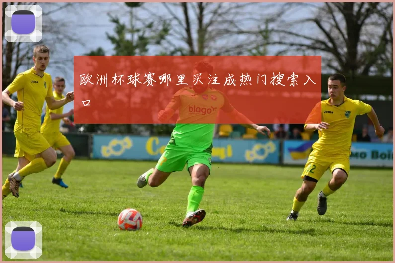 欧洲杯球赛哪里买注成热门搜索入口