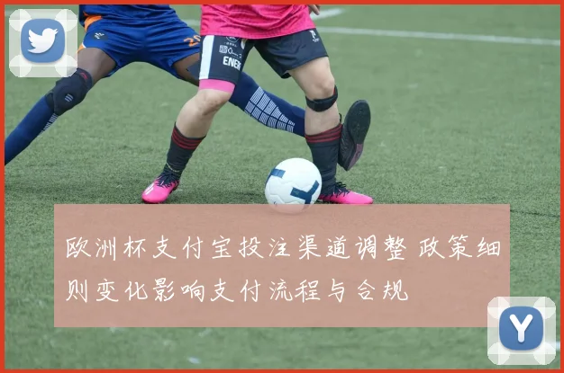 欧洲杯支付宝投注渠道调整 政策细则变化影响支付流程与合规