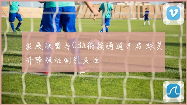 发展联盟与CBA衔接通道开启 球员升降级机制引关注