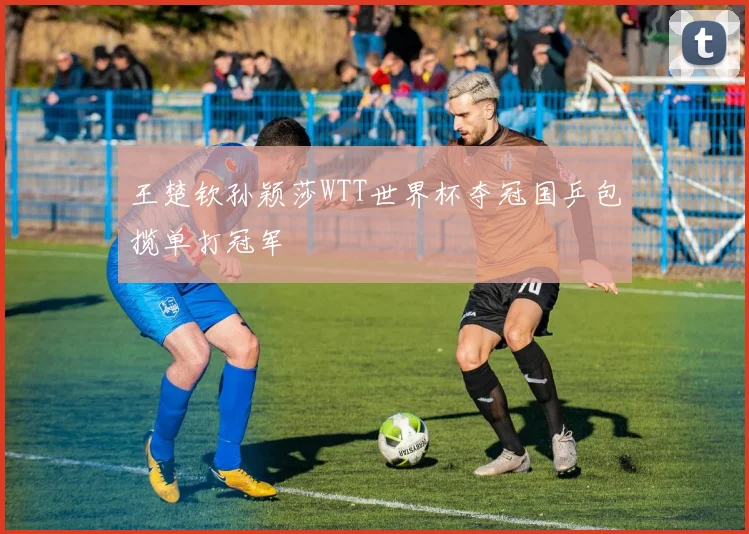 王楚钦孙颖莎WTT世界杯夺冠国乒包揽单打冠军