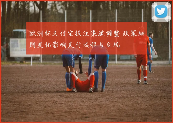 欧洲杯支付宝投注渠道调整 政策细则变化影响支付流程与合规